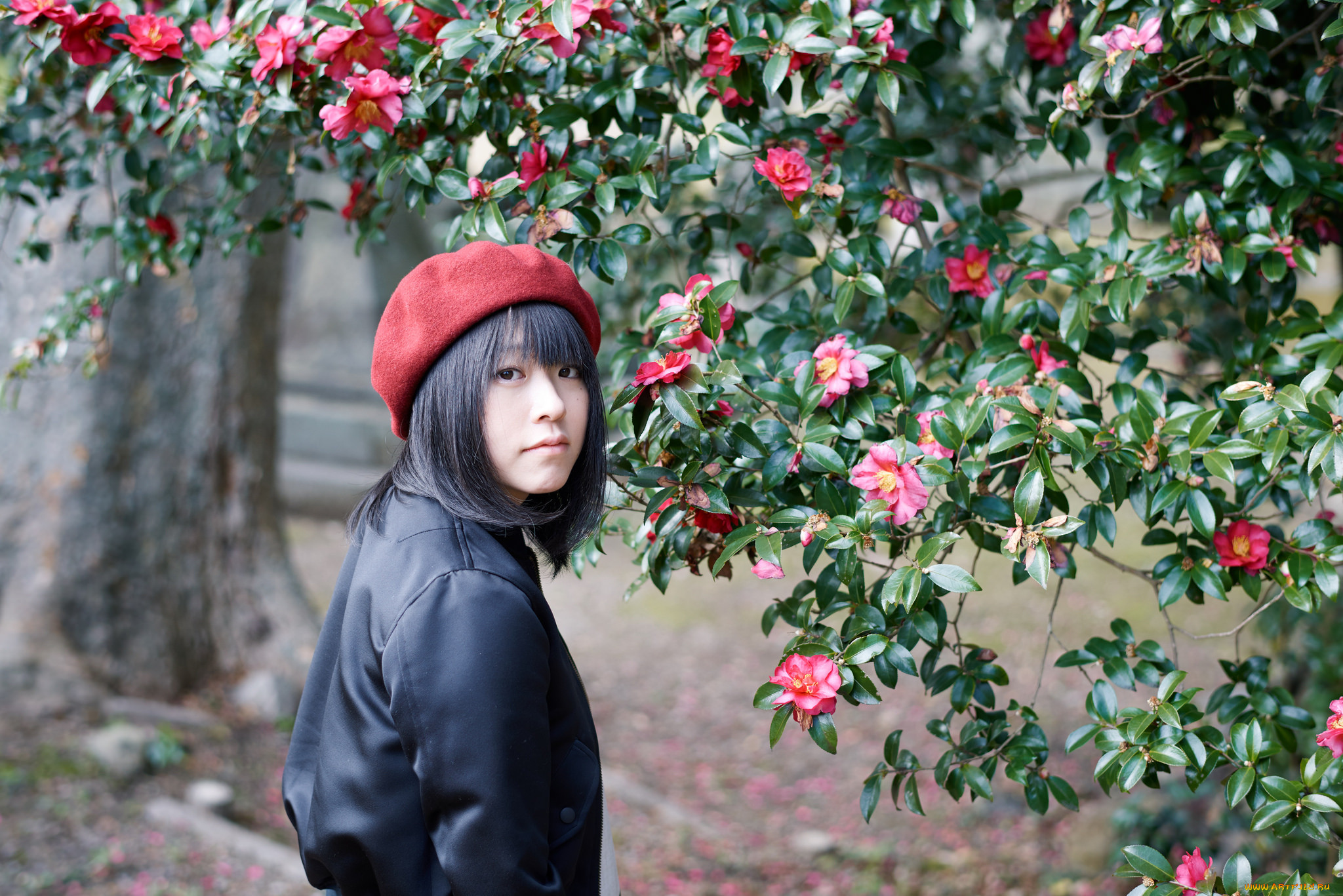 , -unsort , , , , , , ryuichi, miyazaki, , , , 
